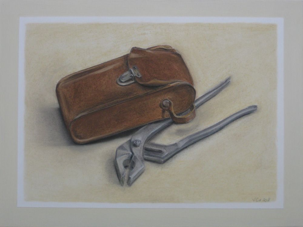 Canonica Sandra · Kunst - Pastellkreide