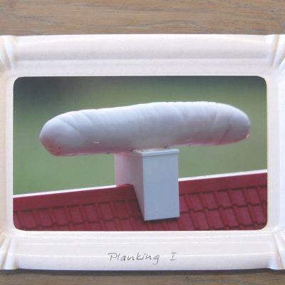 Canonica Sandra · Kunst - Objekte